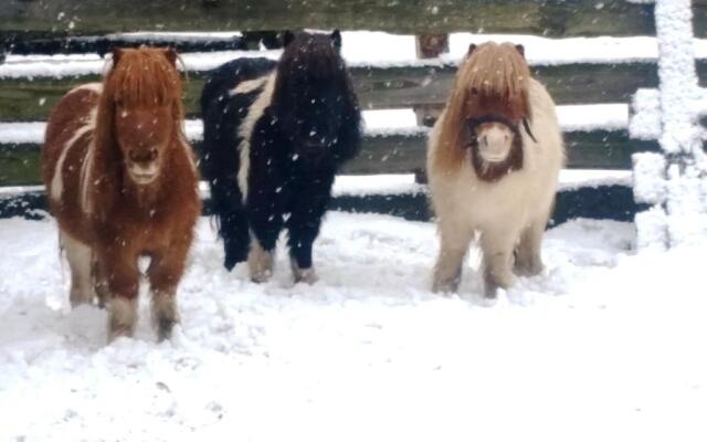 Neue Mühle Hotel und Restaurant