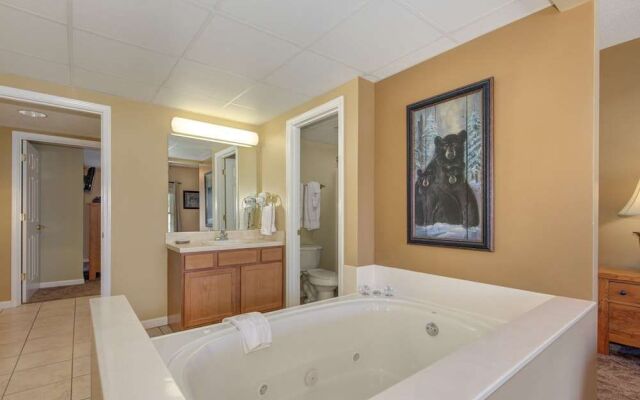 Bear Crossing by VTrips