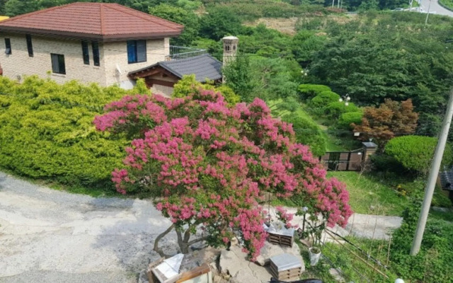 Jangseong Baegilhong Pension