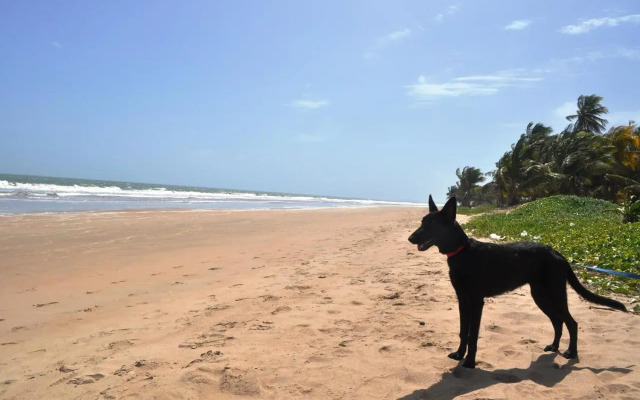 The Leatherback Lodge
