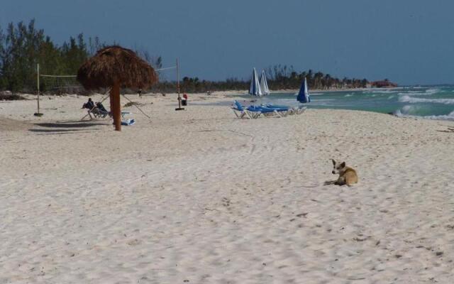 Cocos Cabañas Playa del Carmen Adults only