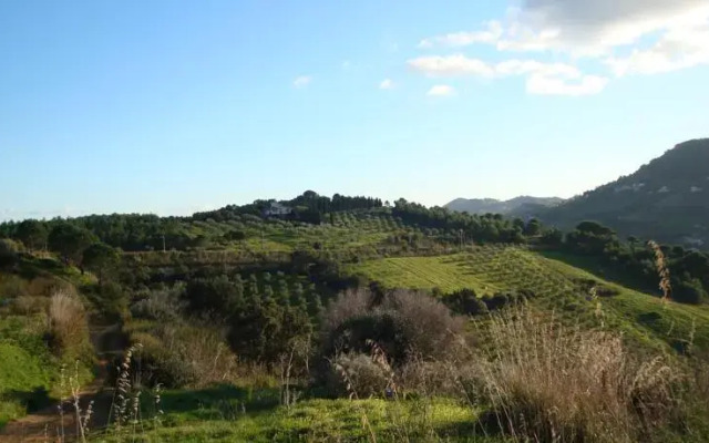 Villa Del Bosco