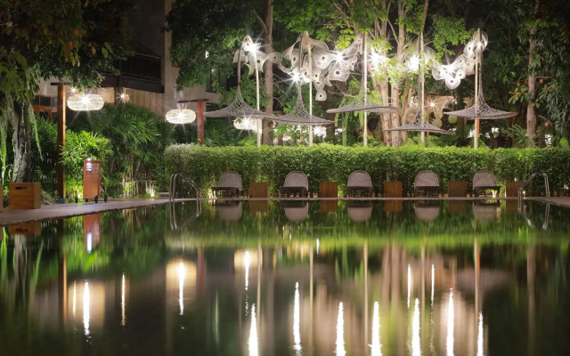 The Buffalo Amphawa (SHA Plus)