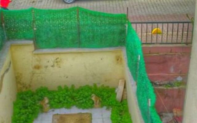 Eroz Hostel Old City