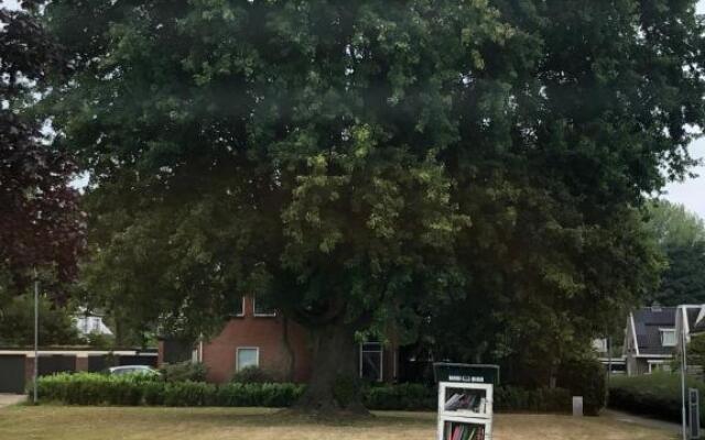 Privé studio centrum Assen Gratis Parkeren