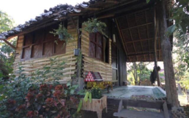 Farmer Home Pai