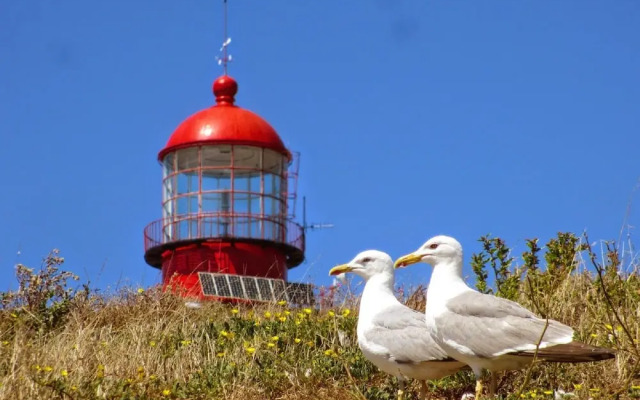 Best Houses 4 - Loft Heart of Peniche