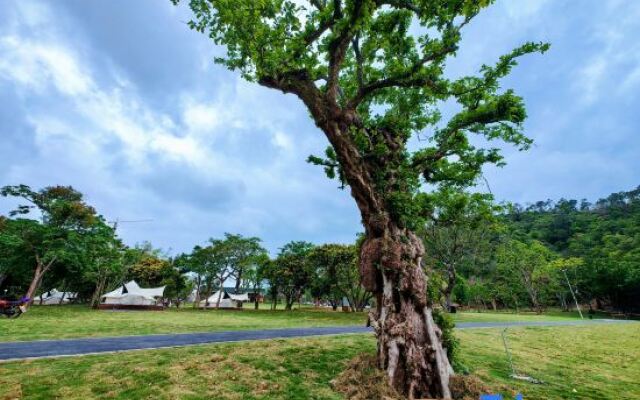The Lake's Campground
