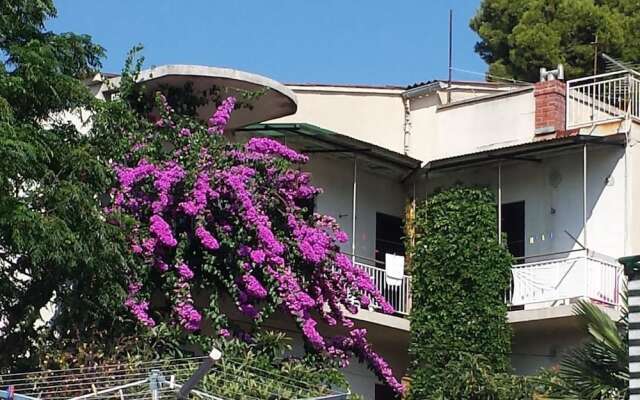 Apartment Stegic / Two Bedrooms A1