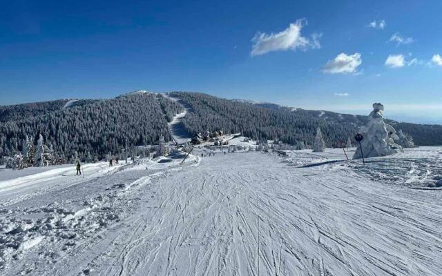 Ski&Spa Milmari L17