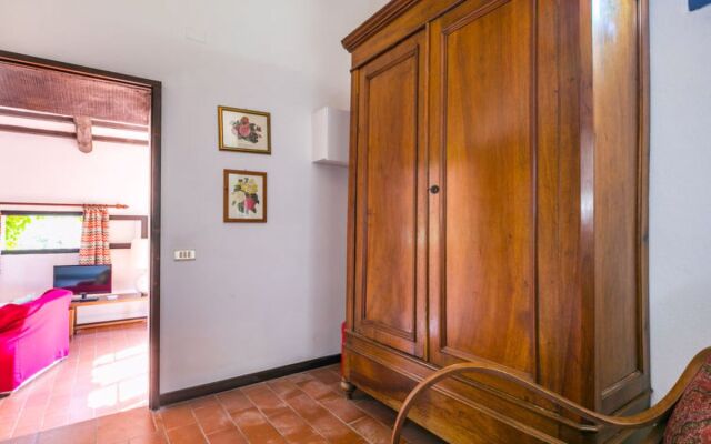 Bardeggiano - Caterina 4 (COL247)