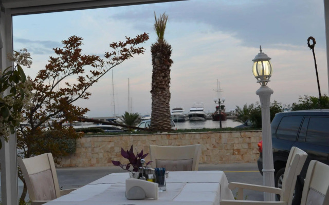 Villa on the Black Sea