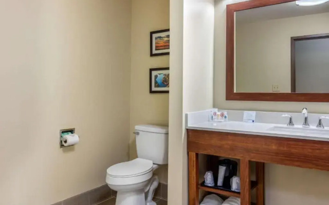 Comfort Inn & Suites McComb