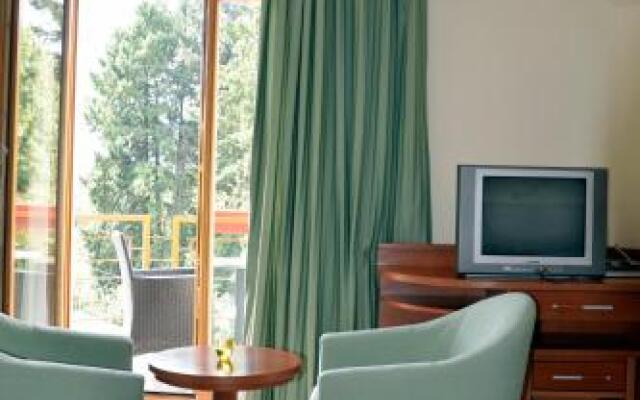 Hotel Mladimir