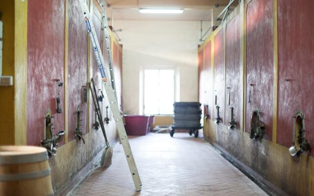 Agriturismo Tenuta Lupinari