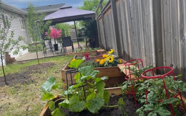 Lemon Tree Inn