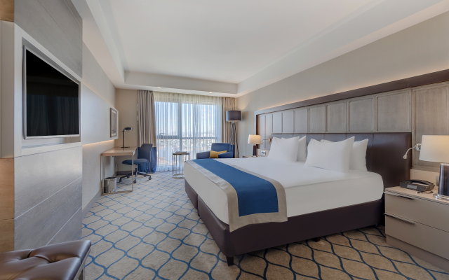 Holiday Inn Kayseri - Duvenonu