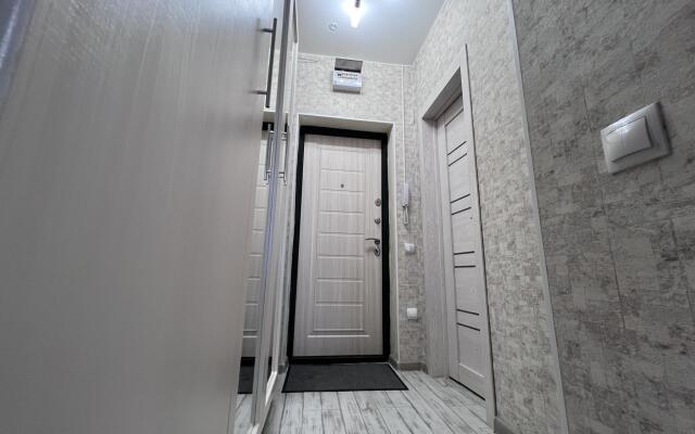 AlexHome (Alexhome) on Pushkin Street 8-165