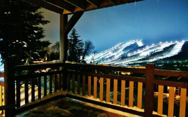 Chalets Alpins - 17 Chemin Blanc