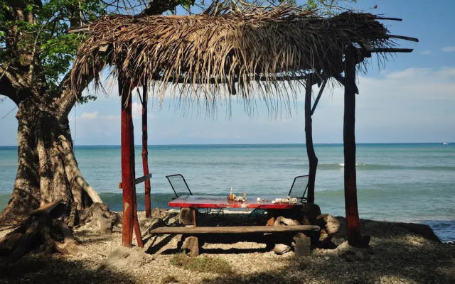 The Howler Monkey Hotel