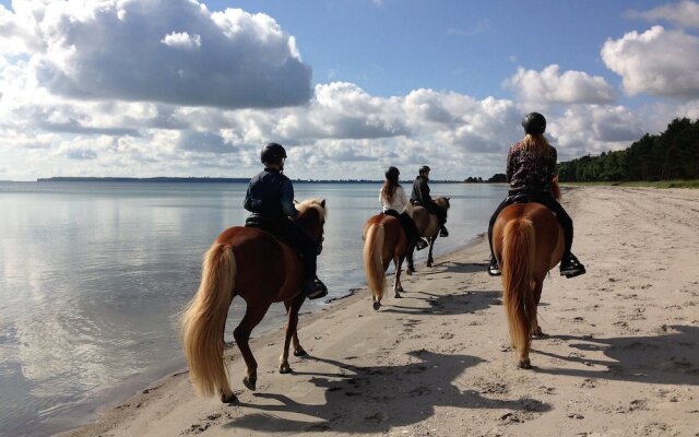 Feddet Strand Resort