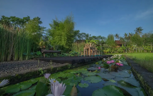 Rumah Jembarati
