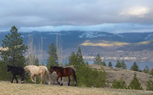 Royal Bed & Breakfast