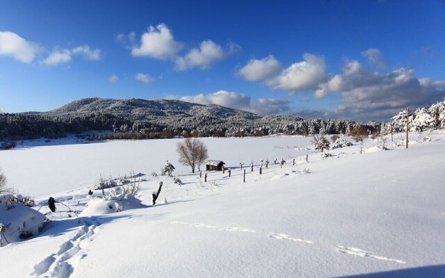 Ege Termal Apart Hotel