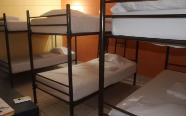 Hotel Green Monkey - Hostel