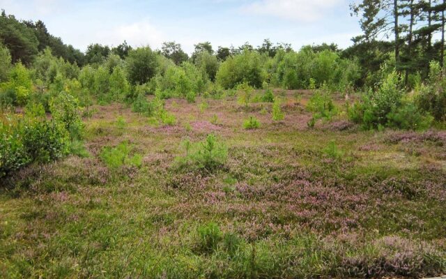 6 Person Holiday Home in Laeso