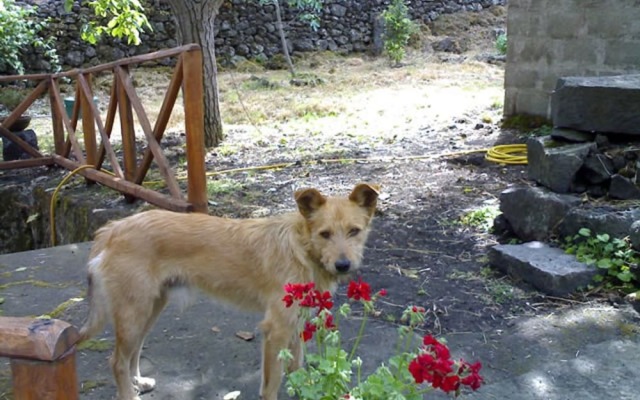B&B Mongibello