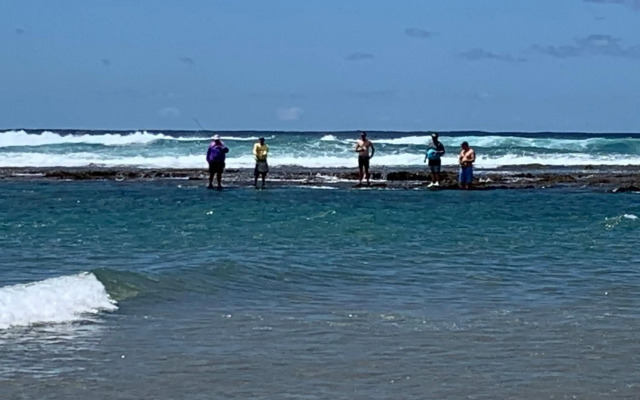 Perna Perna St Lucia