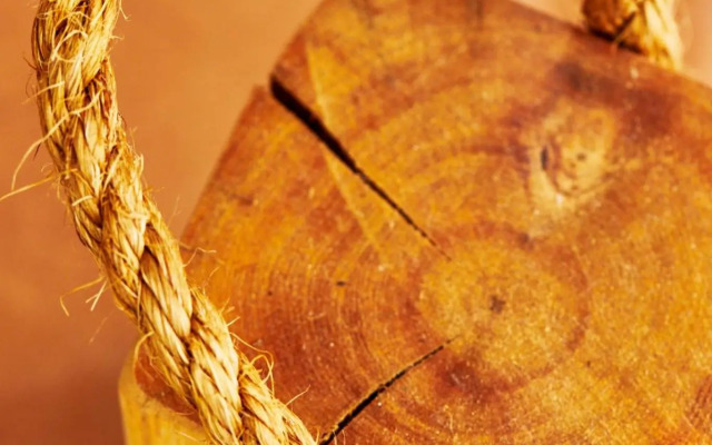 Luxurious & centrally located home away from home