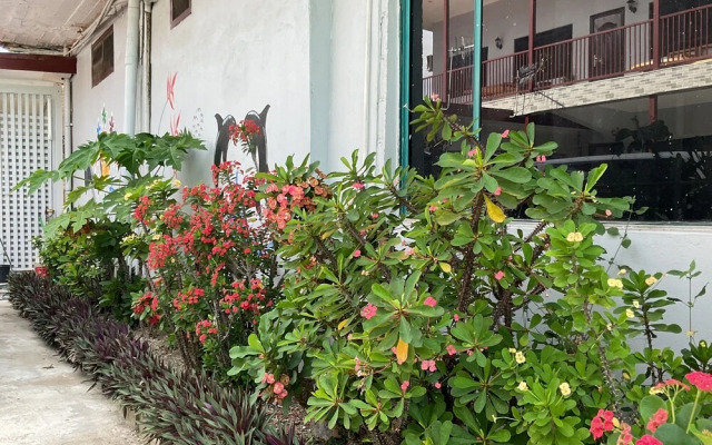 Fox Homestay