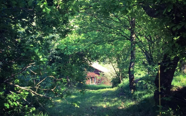 Silver Trees Glamping