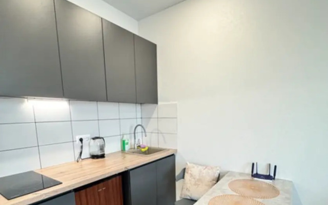 Апартаменты на проезде Стройкомбината 1