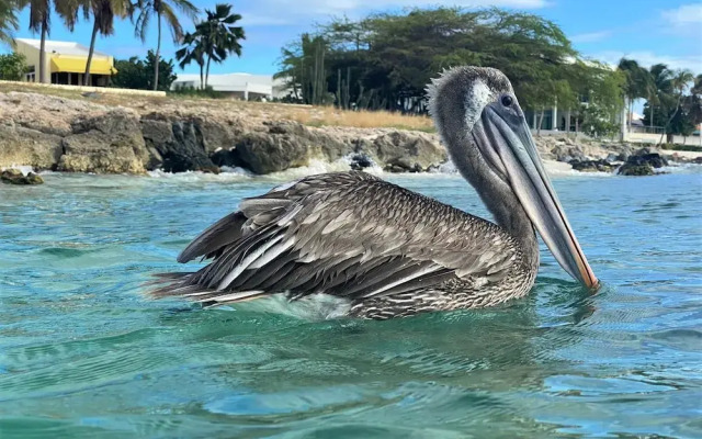 Varadero Marina Airport Guests Rooms