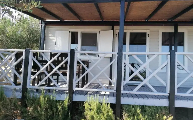 Camp Kopito