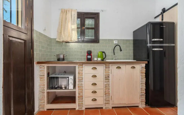 Myrtilo Waterline 2 (Orange)