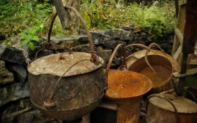 Selenium Tea Ecological Garden