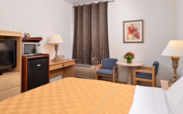 Bellis Inn