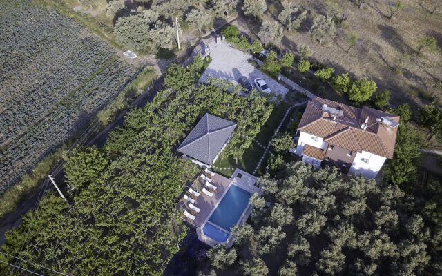 Grape Datça