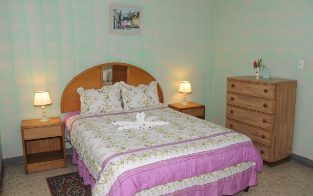 Palm View Guesthouse and Conference Centre