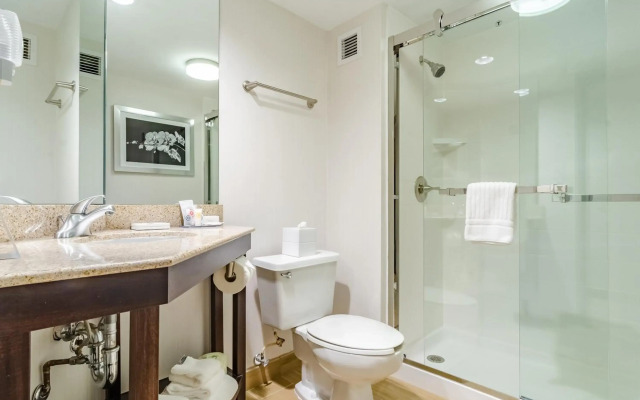 Comfort Inn Raleigh Midtown