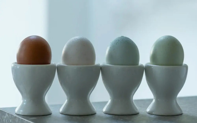 Orchard Glamping - Apartment Pod - Blossom