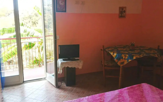 Room-michelangelo House, Mono