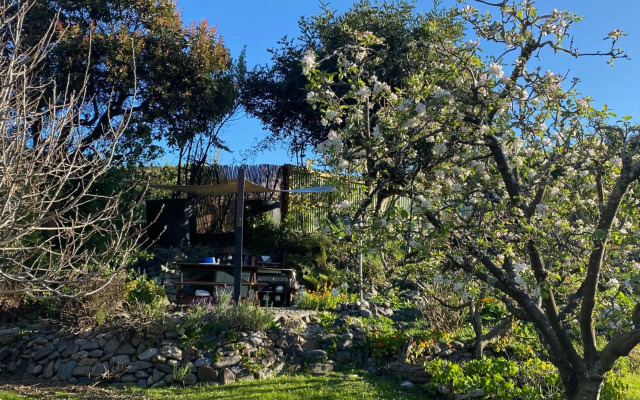 Omarama Oasis - Permaculture Glamping