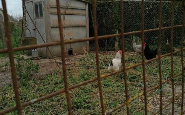 Campagne proche Bayeux et plages du débarquement.