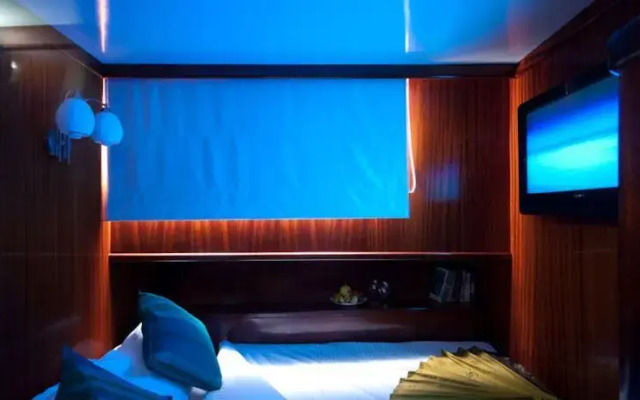 Dream Voyager