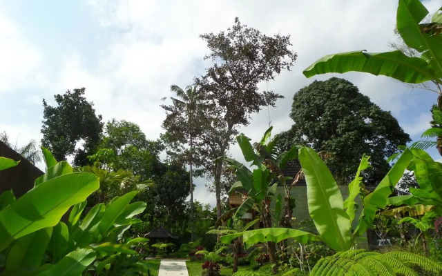 Senetan Villa and Spa Resort